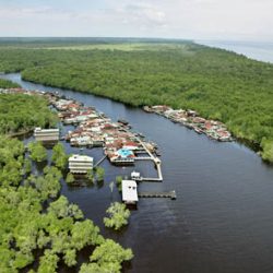 Government’s Efforts to Minimize The Threat of Coastline Changes on The North Coast of Bengkalis Island