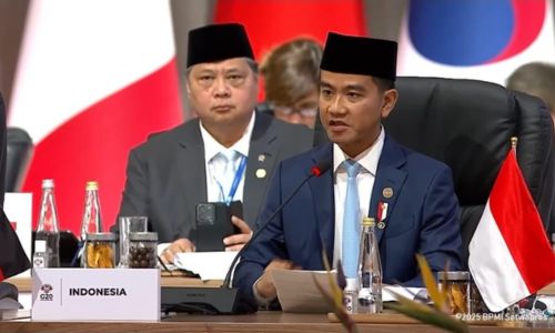 Peran Indonesia dalam Arsitektur Ekonomi Selatan Selatan: Analisis Strategis Kemitraan Indonesia-Afrika